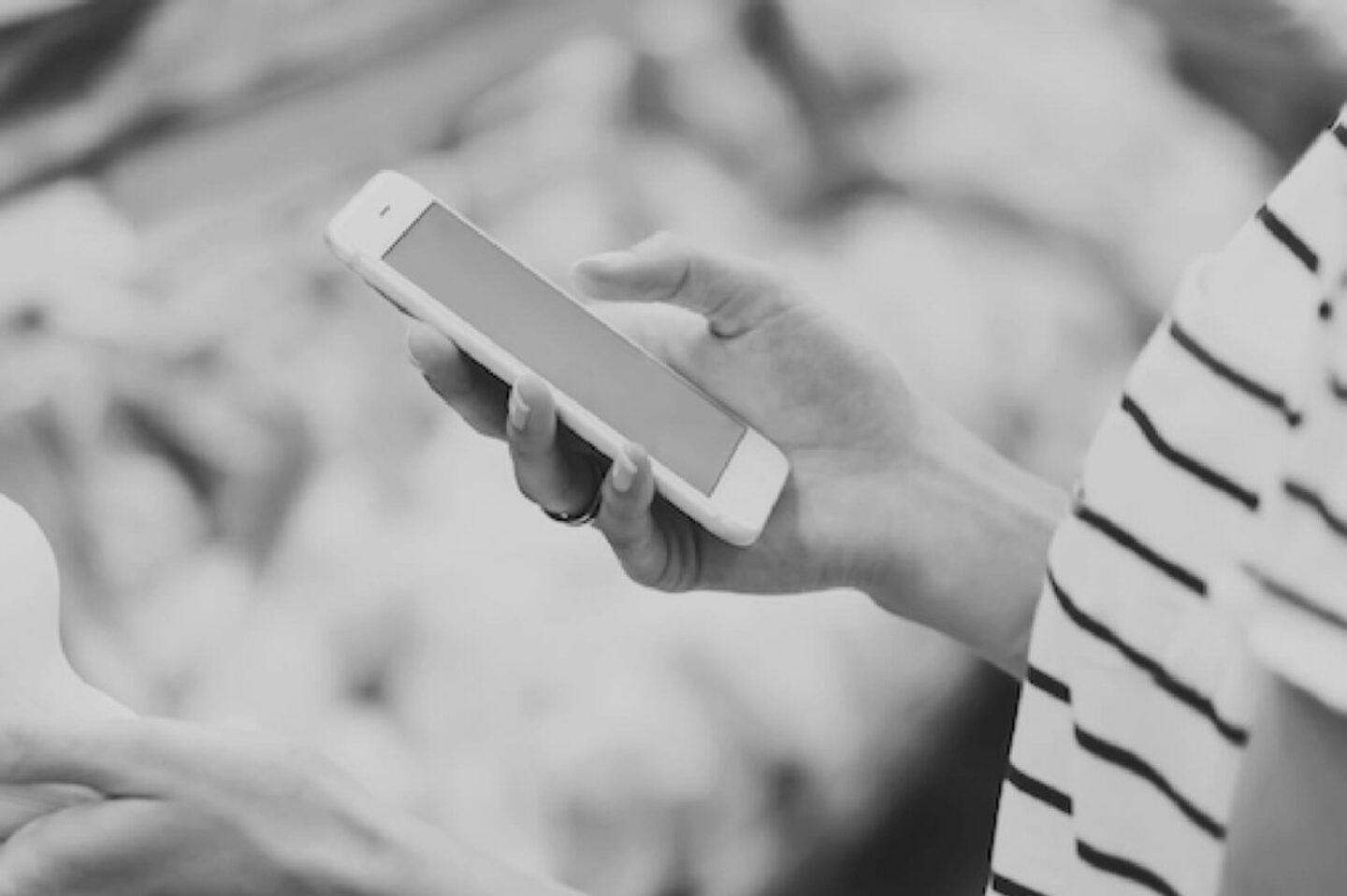 divepalveluplus-referenssi(1)