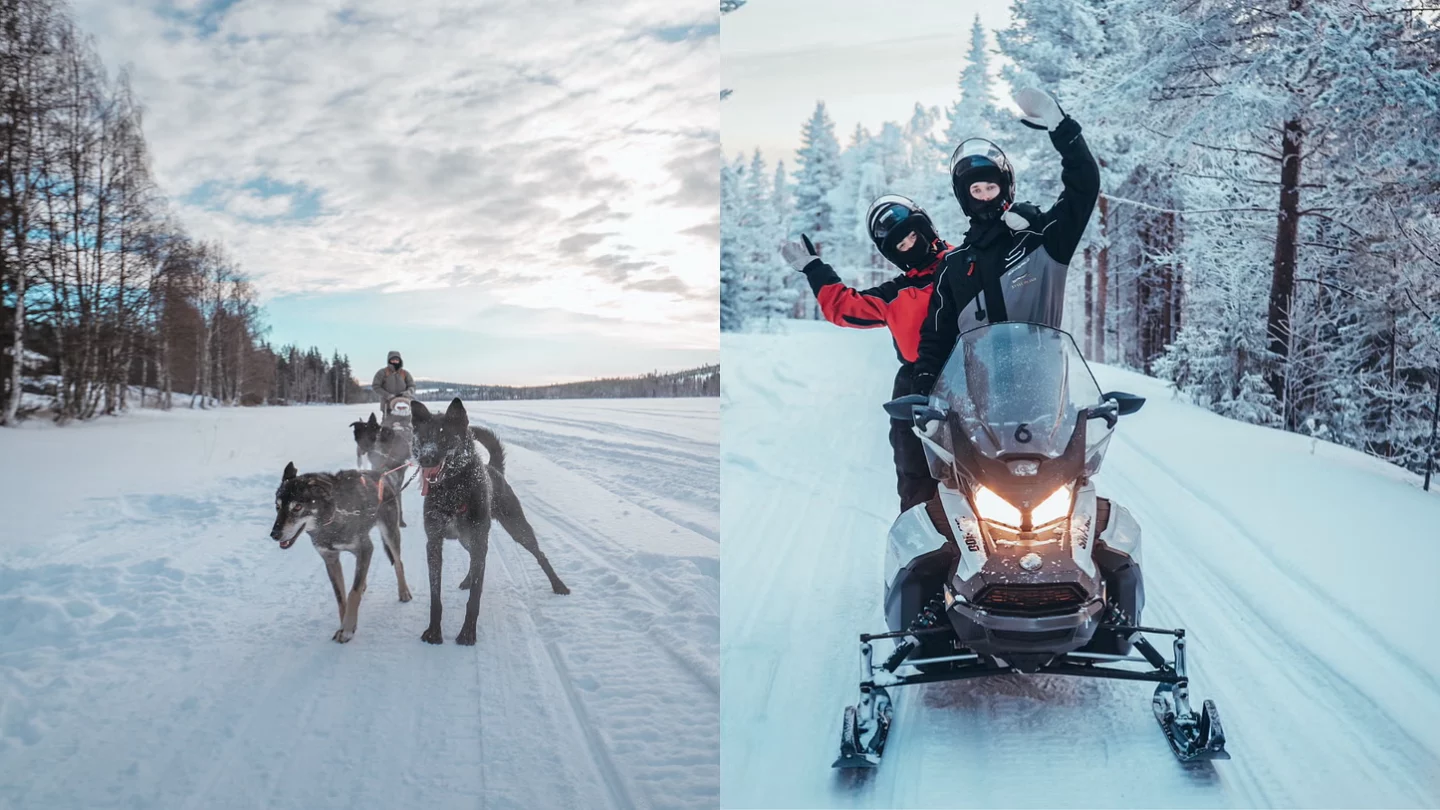 Huskyvaljakko ja moottorikelkkailijat talvisessa Lapin metsämaisemassa